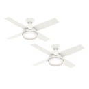 PACK X2 VENTILADOR DE TECHO HUNTER DANTE BLANCO 44