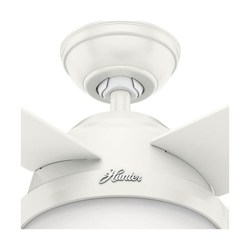 PACK X2 VENTILADOR DE TECHO HUNTER DANTE BLANCO 44
